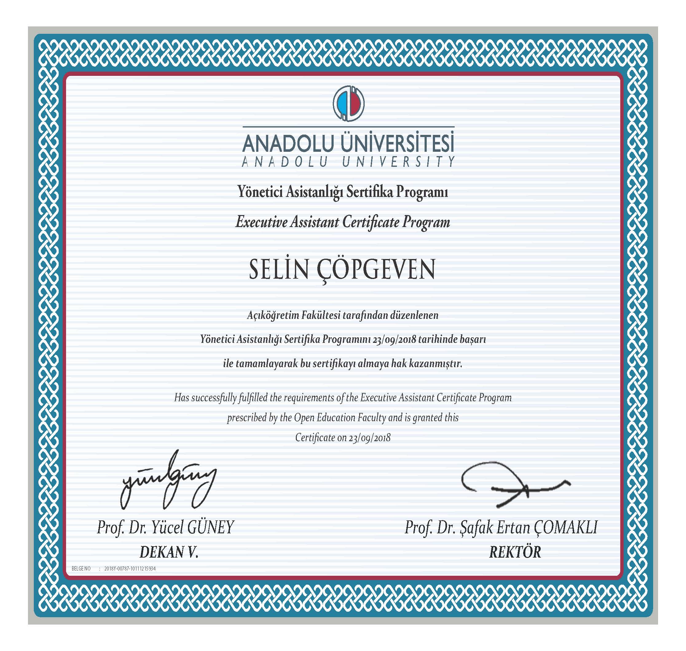 anadolu universitesi e sertifika programlari